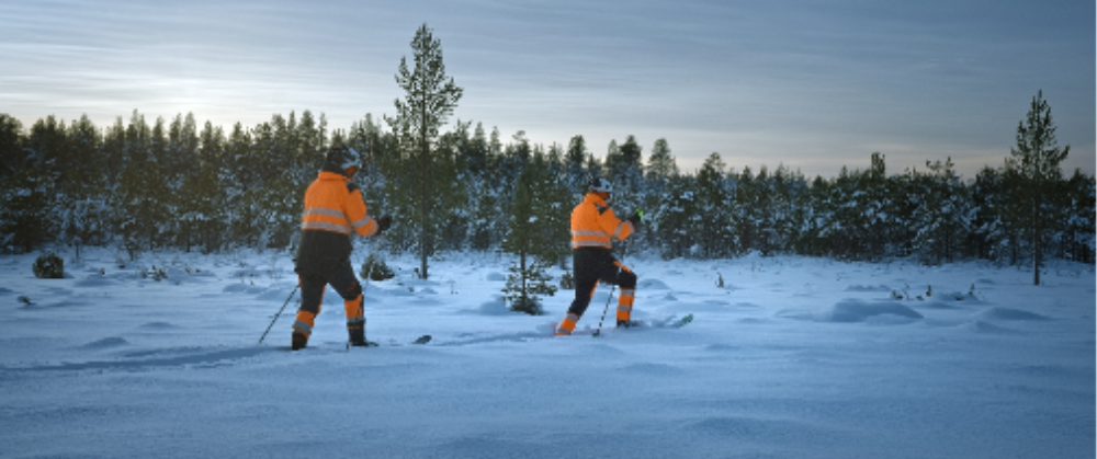 hiihtäjät Soklin hangilla