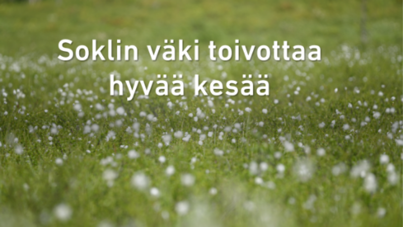 Kuva niitystä.