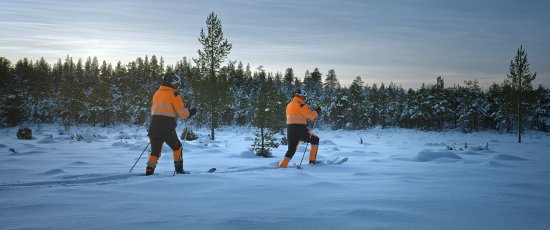 Cross country skiing in Sokli
