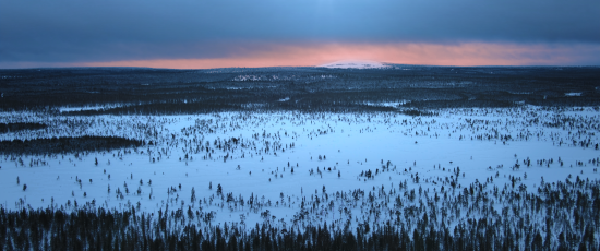 Winter landscape