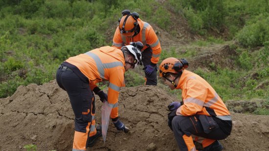 Personnel in the field